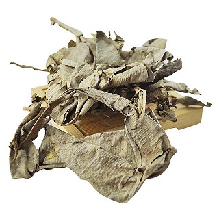 鹤鼎堂 卡琪花蒂玛(润芝生物)