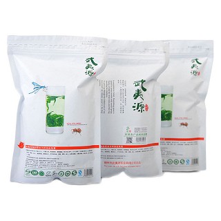武夷源 工夫绿茶 礼盒包装袋(武夷源)