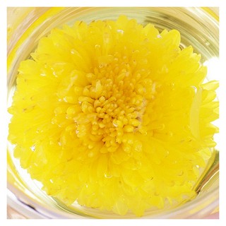 婺牌 礼盒装婺源皇菊茶(特级)