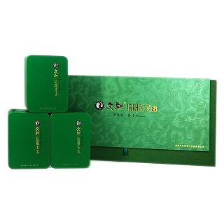 文新 信阳毛尖新茶(文新)