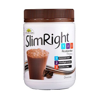 nature‘s way 代餐奶昔营养蛋白粉 巧克力口味(nature‘s)