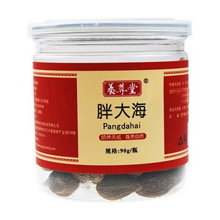 养尊堂 胖大海(养尊堂)