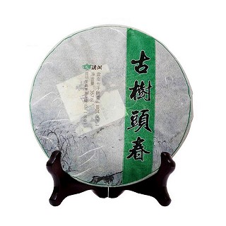 滇湘 古树头春普洱茶生茶(茶蟲)