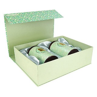 风雅苑 春色满园礼盒装金骏眉(时尚花绿袋)