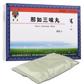那如三味丸(蒙王)