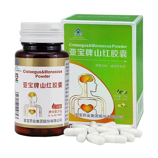 亚宝牌山红胶囊(亚宝药业)
