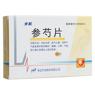 参芍片(步长)