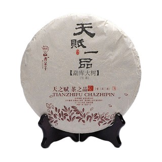 书呆子 天赋一品(勐库大树)