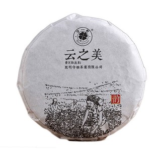 守一轩 普洱茶 云之美生茶饼(守拙)