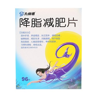 降脂减肥片(天宏)