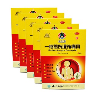 一枝蒿伤湿祛痛膏