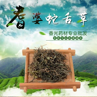 高端原生态植物药材精选白花蛇舌草250g(250g)