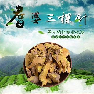 高端原生态植物药材精选三棵针500g(500g)