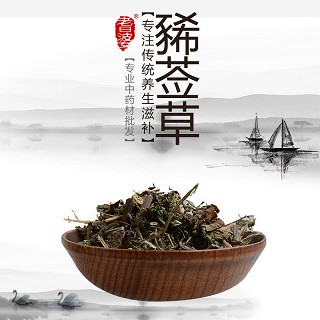 高端原生态植物药材精选豨莶草500g价格