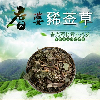 高端原生态植物药材精选豨莶草500g(500g)