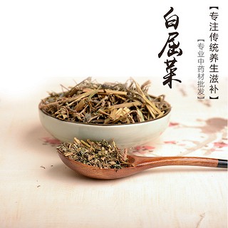 高端原生态植物药材精选白屈菜100g价格