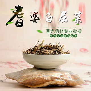 高端原生态植物药材精选白屈菜100g(通用)