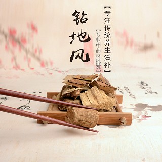 高端原生态植物药材精选钻地风250g价格