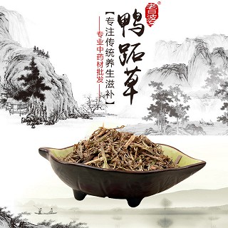 高端原生态植物药材精选鸭跖草250g(通用)
