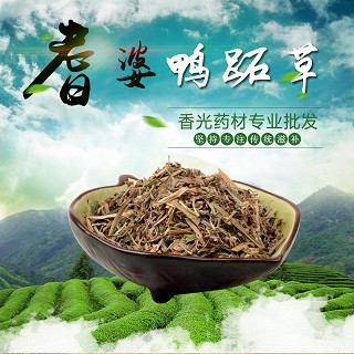 高端原生态植物药材精选鸭跖草250g(通用)