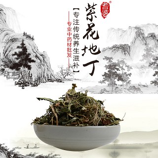 高端原生态植物药材精选紫花地丁100g(通用)
