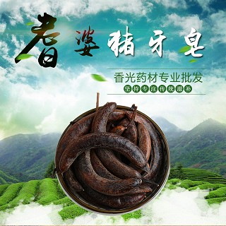 高端原生态植物药材精选猪牙皂100g(通用)