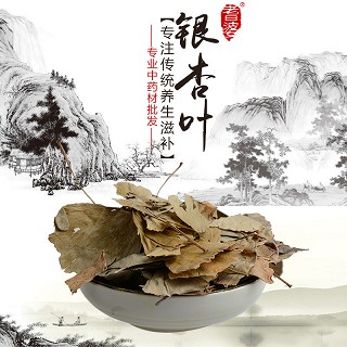 高端原生态植物药材精选银杏叶250g(通用)