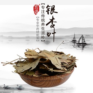 高端原生态植物药材精选银杏叶250g价格