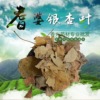 高端原生态植物药材精选银杏叶250g(通用)