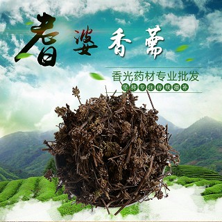 高端原生态植物药材精选香薷250g(通用)