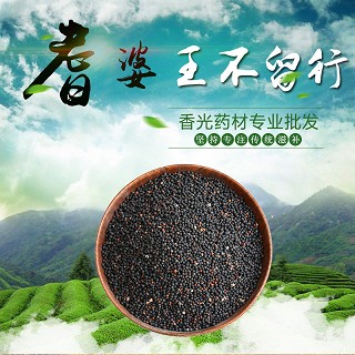 高端原生态植物药材精选王不留行250g(通用)