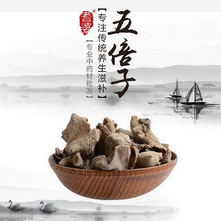 高端原生态植物药材精选五倍子100g价格