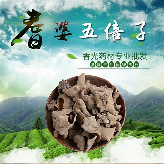 高端原生态植物药材精选五倍子100g(通用)