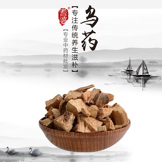 高端原生态植物药材精选乌药250g价格