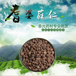 高端原生态植物药材精选蕤仁250g(通用)
