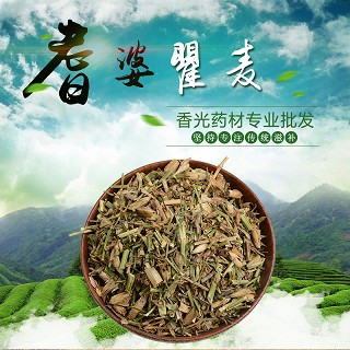  高端原生态植物药材精选拳参250g(通用)