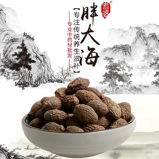 高端原生态植物药材精选胖大海100g(通用)