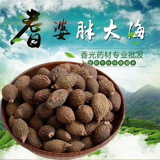 高端原生态植物药材精选胖大海100g(通用)