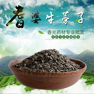 高端原生态植物药材精选牛蒡子100g(通用)