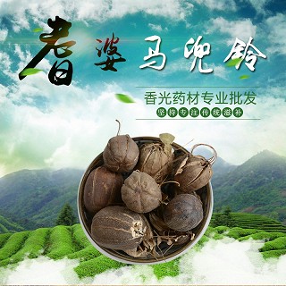 高端原生态植物药材精选马兜铃250g(通用)