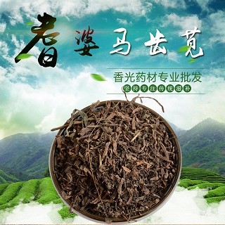 高端原生态植物药材精选马齿苋250g(通用)