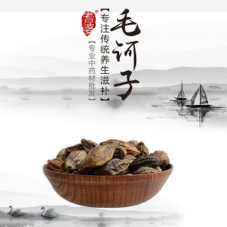 高端原生态植物药材精选毛诃子500g价格