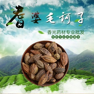 高端原生态植物药材精选毛诃子500g(通用)