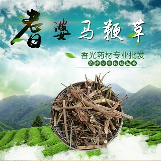 高端原生态植物药材精选马鞭草500g(通用)