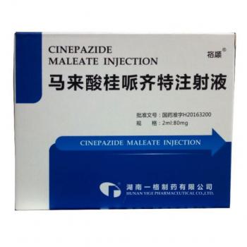 马来酸桂哌齐特注射液 (格顺)