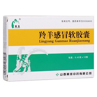 羚羊感冒软胶囊(黄河)