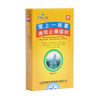 雪上一枝蒿速效止痛搽剂(维和)