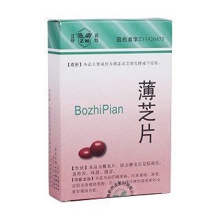 薄芝片(浙南)