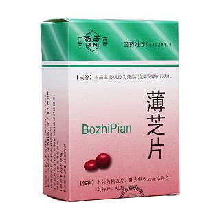 薄芝片(浙南)