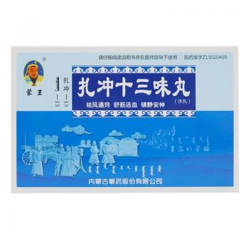 扎冲十三味丸(蒙王)